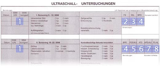 Der Mutterpass Praxis Dr Schraps